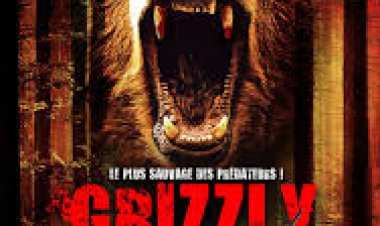 גריזלי תרגום מובנה – Grizzly
