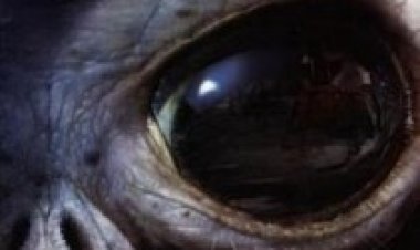 איזור 51 תרגום מובנה לצפייה ישירה