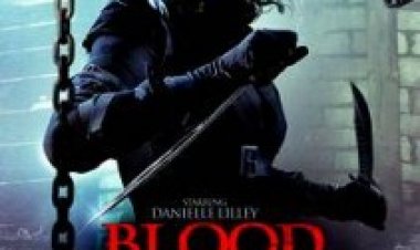 אלמנת דם תרגום מובנה ( 2014 ) Blood Widow לצפייה ישירה