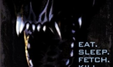 רוטווילר תרגום מובנה לצפייה ישירה