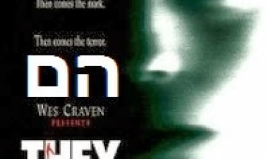 הם *תרגום מובנה* להורדה ולצפייה ישירה / They 2002 – DVDrip