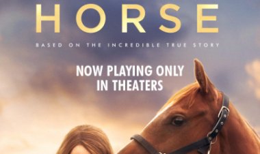 סוס מנצח לצפייה ישירה עם תרגום מובנה | Dream Horse