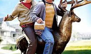 טיפשים בלי הפסקה 2 תרגום מובנה לצפייה ישירה | Dumb And Dumber To