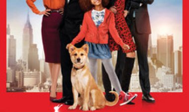 אנני (2014) תרגום מובנה Annie לצפייה ישירה