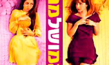 המושלמת *תרגום מובנה* להורדה ולצפייה ישירה/ The Pretty One 2014 – DVDRip