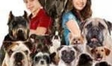 בית מלון לכלבים תרגום מובנה לצפייה ישירה