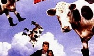 סודי ביותר תרגום מובנה לצפייה ישירה | Top Secret