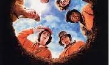 בורות תרגום מובנה לצפייה ישירה