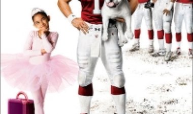 תוכנית המשחק תרגום מובנה לצפייה ישירה