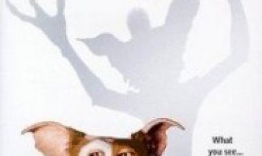 גרמלינס 12 תרגום מובנה לצפייה ישירה