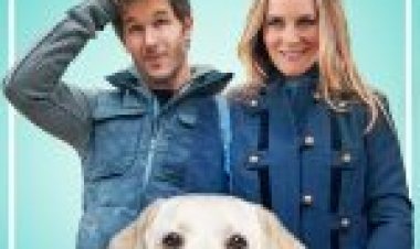 מי מקבל את הכלב ללא תרגום לצפייה ישירה | Who Gets the Dog