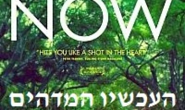 העכשיו המדהים תרגום מובנה לצפייה ישירה