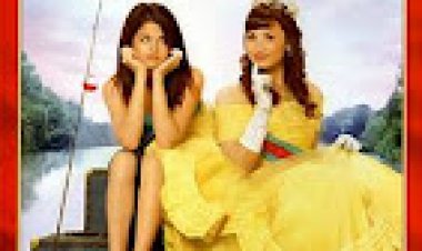 התוכנית להגנת נסיכות *תרגום מובנה* – Princess Protection Program