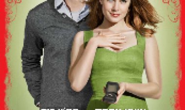 שנה מעוברת תרגום מובנה לצפייה ישירה