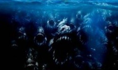 פיראנה תרגום מובנה לצפייה ישירה | Piranha