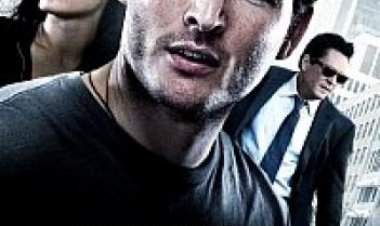 לוסיז תרגום מובנה לצפייה ישירה