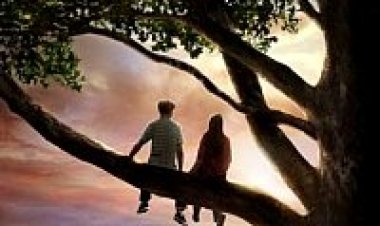 הפכים תרגום מובנה לצפייה ישירה