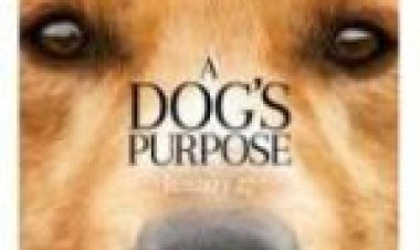 נשמה של כלב מתורגם לצפייה ישירה / A Dog's Purpose לצפייה ישירה