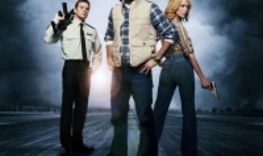 מקגרובר (2010) תרגום מובנה לצפייה ישירה