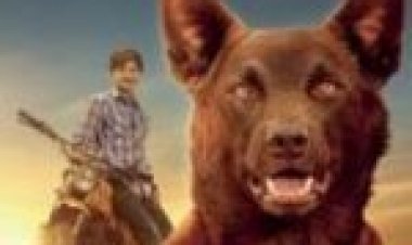 כלב אדום: כחול אמיתי מתורגם לצפייה ישירה / Red Dog: True Blue לצפייה ישירה