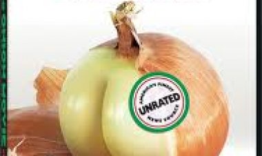 חדשות מטוגנות תרגום מובנה לצפייה ישירה