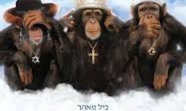 בדיחדת תרגום מובנה לצפייה ישירה