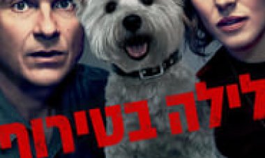 לילה בטירוף לצפייה ישירה עם תרגום מובנה | Game Night