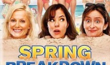 חופשת אביב מטורפת תרגום מובנה לצפייה ישירה