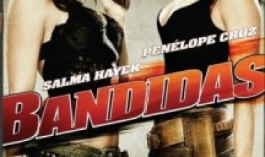 שודדות תרגום מובנה לצפייה ישירה