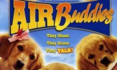 אייר באדיז תרגום מובנה לצפייה ישירה