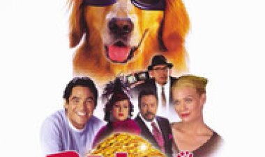 המיליונים של ביילי תרגום מובנה לצפייה ישירה