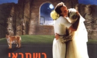 כשתראי נמר בשלג תרגום מובנה לצפייה ישירה | La tigre e la neve