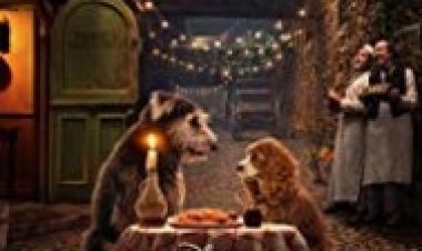 היפהפייה והיחפן לצפייה ישירה עם תרגום מובנה | Lady and the Tramp