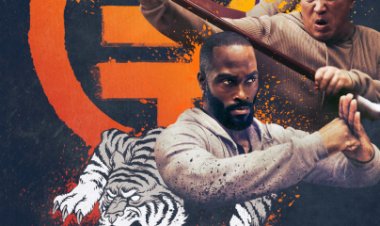 נמרים מנייר לצפייה ישירה עם תרגום מובנה | The Paper Tigers