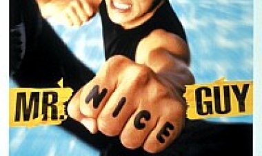 בחור קשוח תרגום מובנה לצפייה ישירה | Mr. Nice Guy