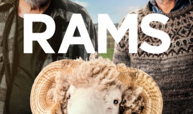 איילים לצפייה ישירה עם תרגום מובנה | Rams