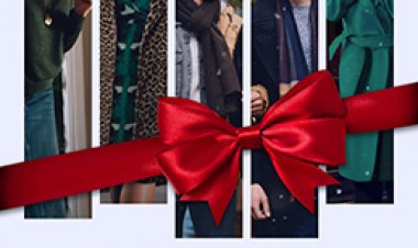 הרווק הנצחי לצפייה ישירה עם תרגום מובנה | Single All the Way