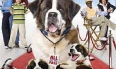 חייל מצטיין לצפייה ישירה | Buffalo Soldiers