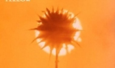 Coldplay – Yellow Single אלבום להורדה