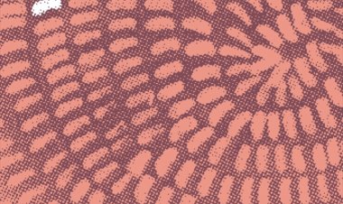 עמיר בניון – סופה אלבום להורדה