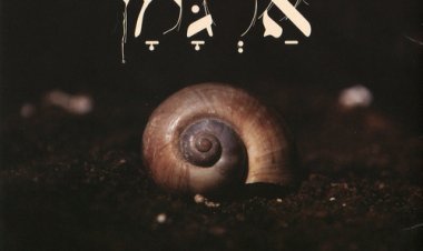 ארז לב ארי – ארגמן אלבום להורדה