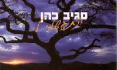 סגיב כהן – התגשמי לי אלבום להורדה
