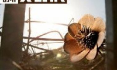 אתניקס – אהבת חינם אלבום להורדה