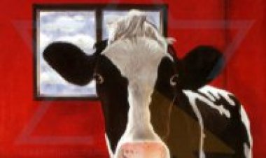 אביב גפן – שומקום אלבום להורדה