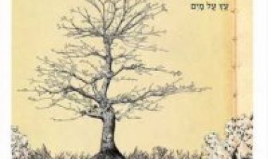 עמיר בניון – עץ על מים אלבום להורדה