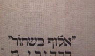 עמיר בניון – אלוף בשחור אלבום להורדה