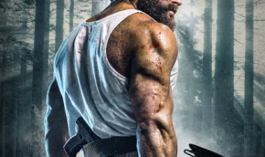 השורד האחרון לצפייה ישירה עם תרגום מובנה | Last Man Down