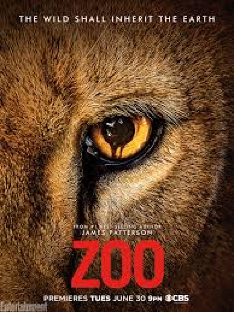 גן חיות עונה 3 תרגום מובנה לצפייה ישירה – ZOO
