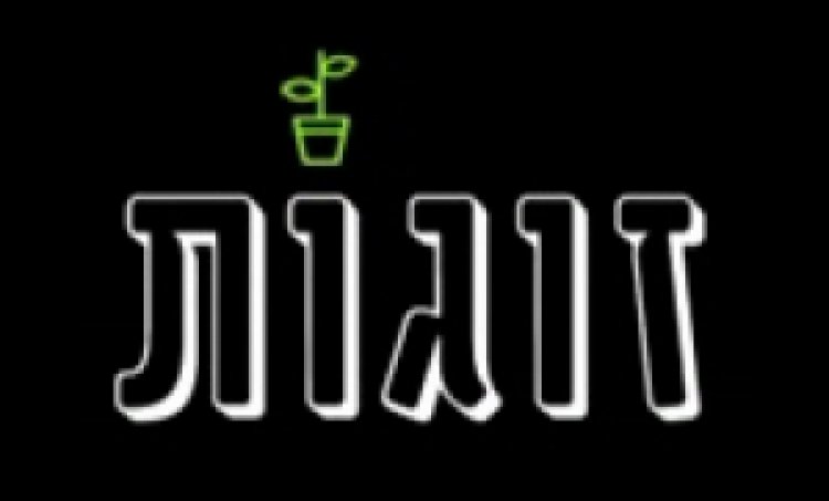 זוגות עונה 1 פרק 1