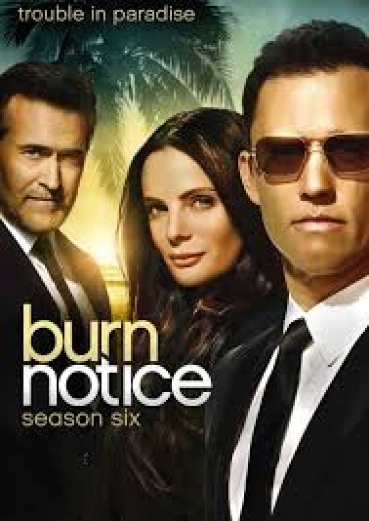 סוכן מחוק עונה 5 תרגום מובנה לצפייה ישירה | Burn Notice